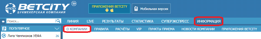 Какой телефон горячей линии Бетсити?