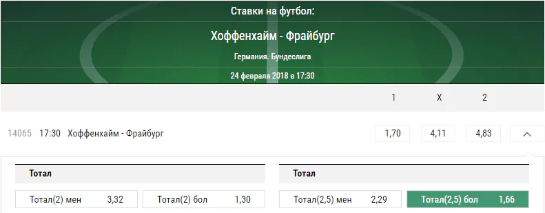 Хоффенхайм - Фрайбург. Прогноз матча чемпионата Германии