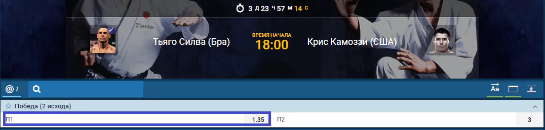 Прогноз на бой Тьяго Силва – Крис Камоззи