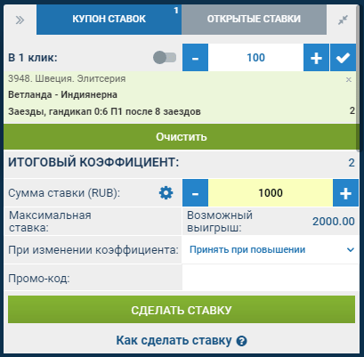 Как правильно делать ставки на спидвей?