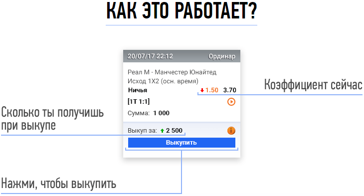 Можно ли отменить ставку в букмекерской конторе и вернуть деньги?