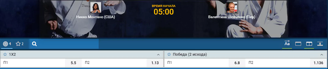 Прогноз на бой Валентина Шевченко – Никко Монтана
