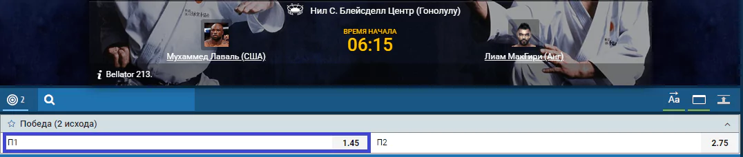 Прогноз на бой Мухаммед Лаваль – Лиам МакГири