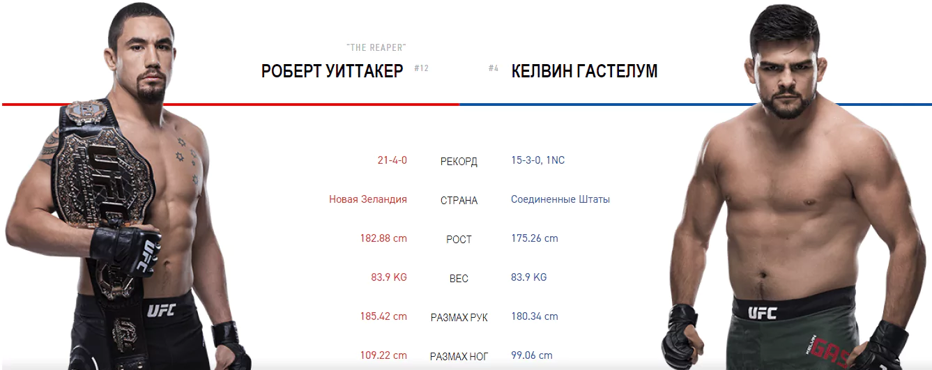 Дайджест UFC 234