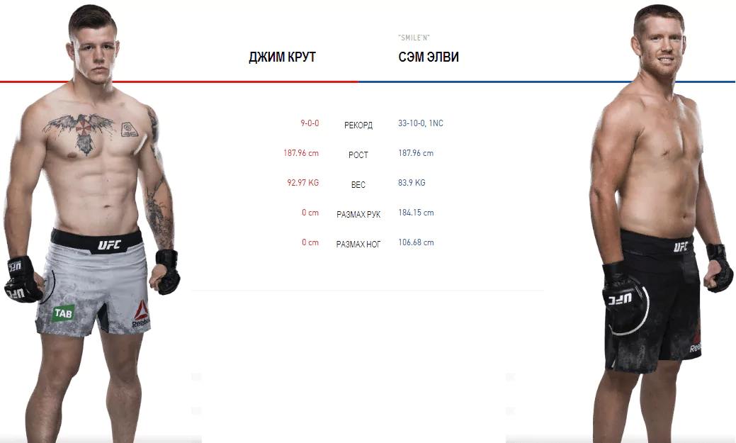 Дайджест UFC 234