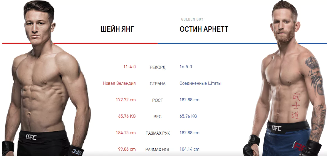 Дайджест UFC 234