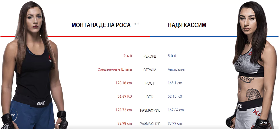 Дайджест UFC 234