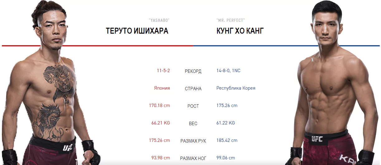 Дайджест UFC 234
