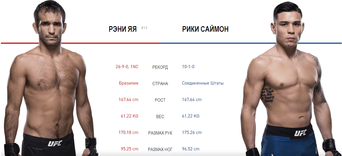 Дайджест UFC 234