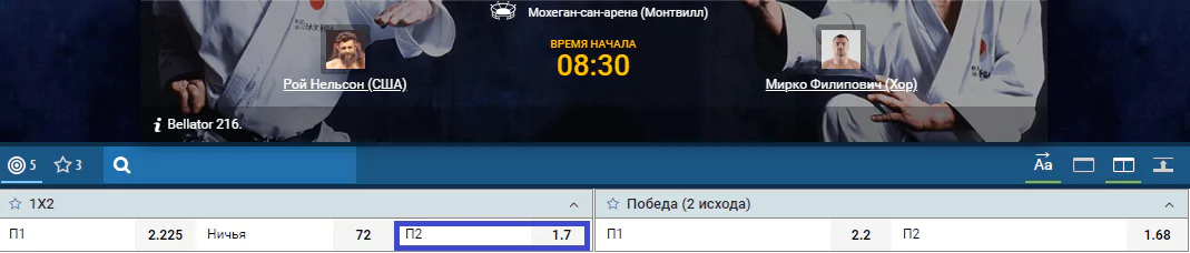 Прогноз на бой Рой Нельсон – Мирко Филипович
