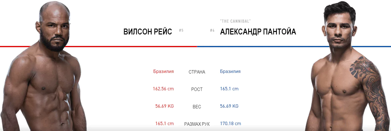 Дайджест UFC 236
