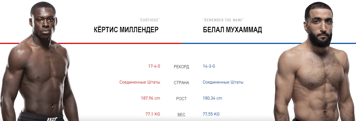 Дайджест UFC 236