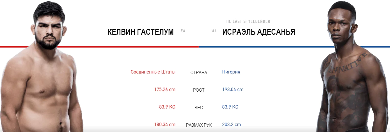 Дайджест UFC 236
