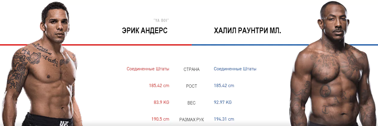 Дайджест UFC 236