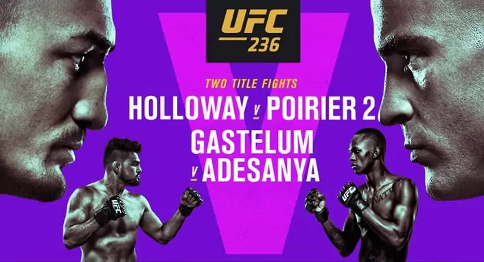 Дайджест UFC 236