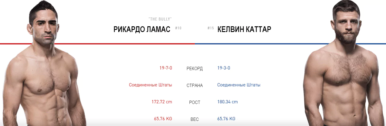 Дайджест UFC 238