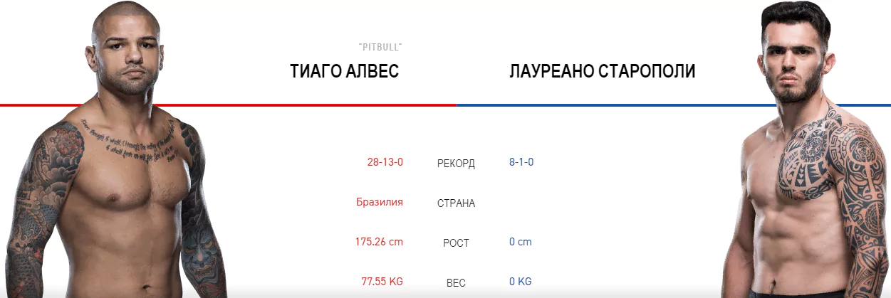 Дайджест UFC 237