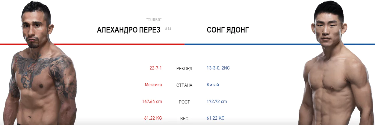 Дайджест UFC 239