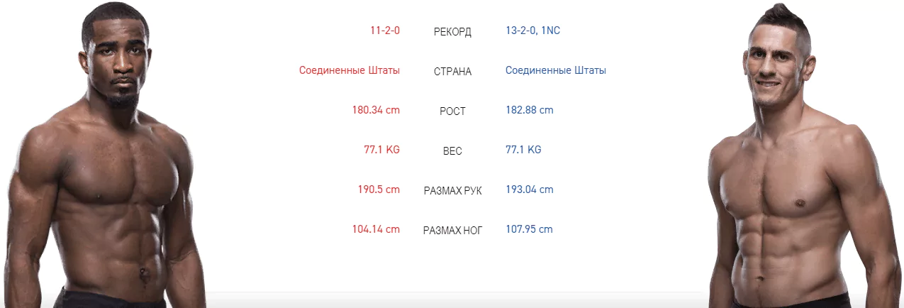 Дайджест UFC 240