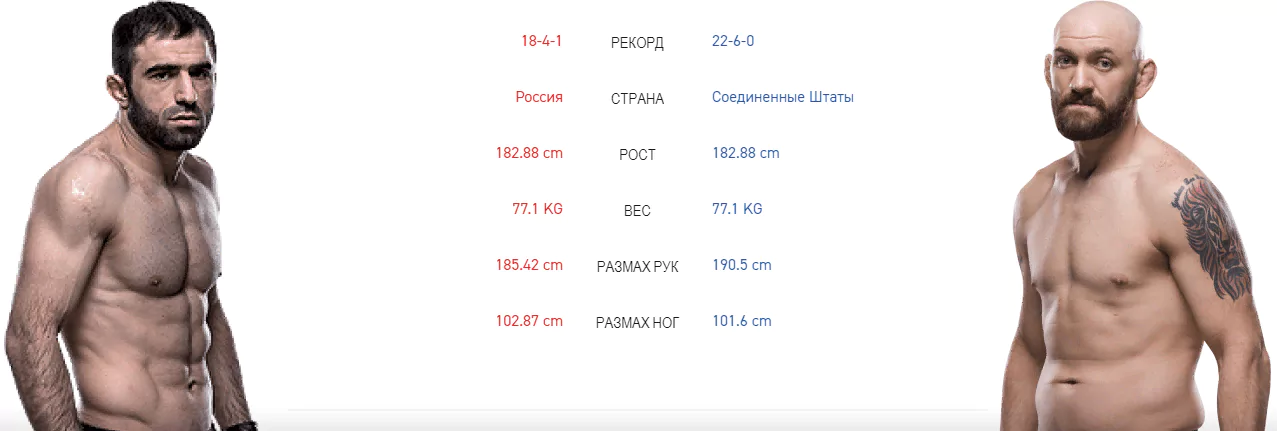 Дайджест UFC 242
