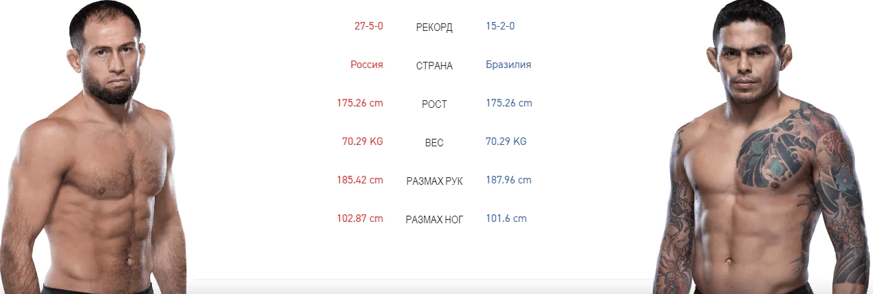 Дайджест UFC 242