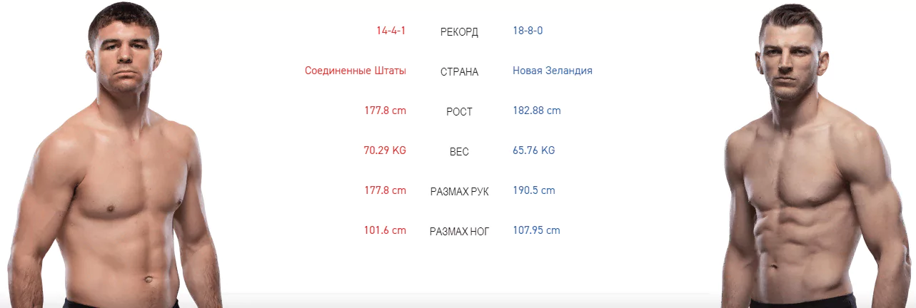Дайджест UFC 243