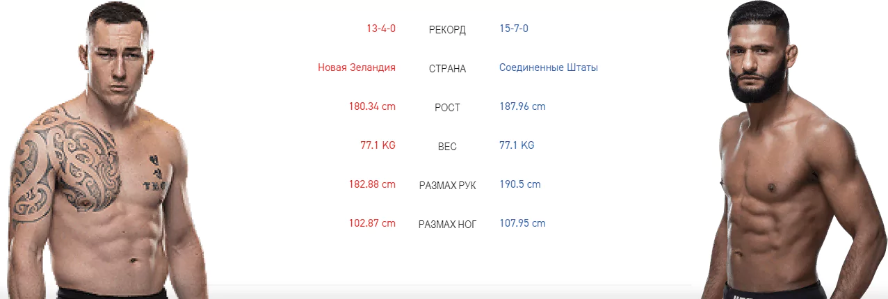 Дайджест UFC 243
