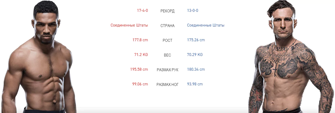 Дайджест UFC 244 – участники и прогнозы турнира
