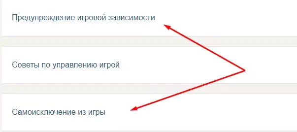 Главные признаки лудомании – как противостоять болезни?