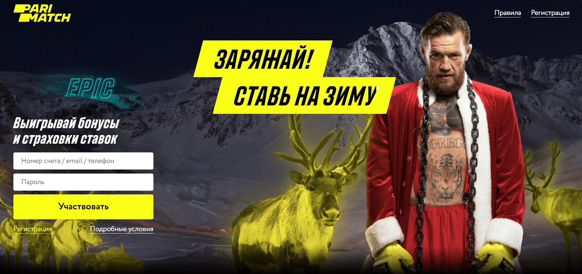 Дайджест новинок БК от 15-го декабря