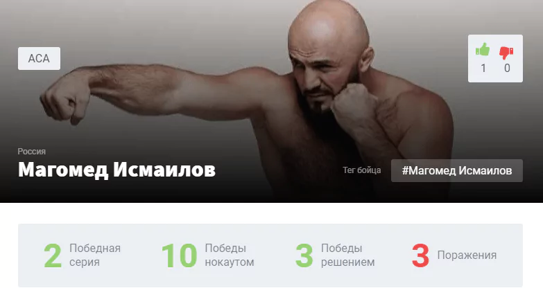 Прогноз на бой Александр Емельяненко – Магомед Исмаилов