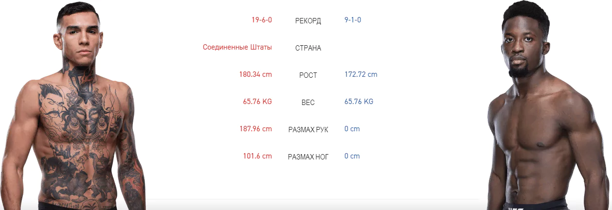 Дайджест UFC 246