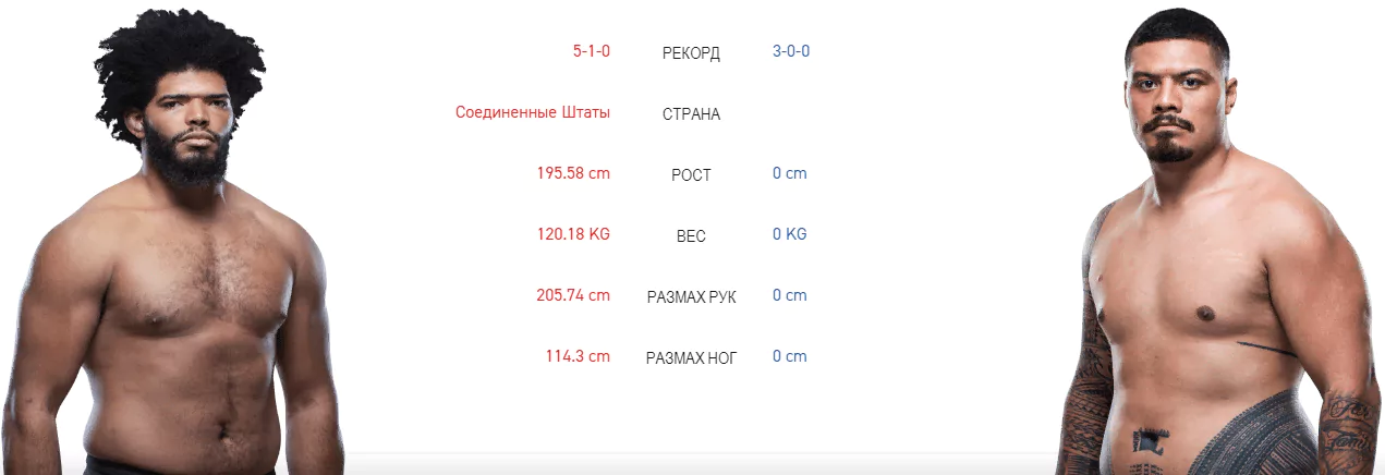 Дайджест UFC 247