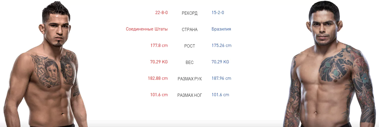 Дайджест UFC 246