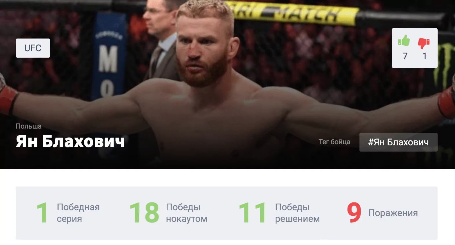 Прогноз на бой Магомед Анкалаев – Ян Блахович