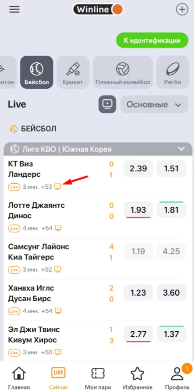 Где смотреть экзотический спорт?