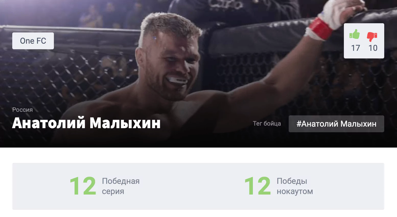Прогноз на бой Анатолий Малыхин – Ренье Де Риддер