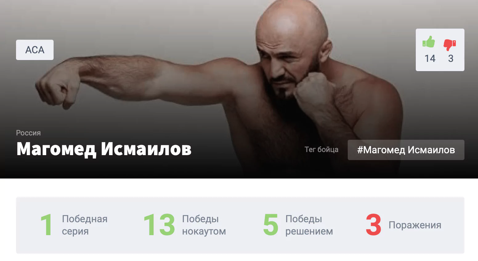 Прогноз на бой Владимир Минеев – Магомед Исмаилов