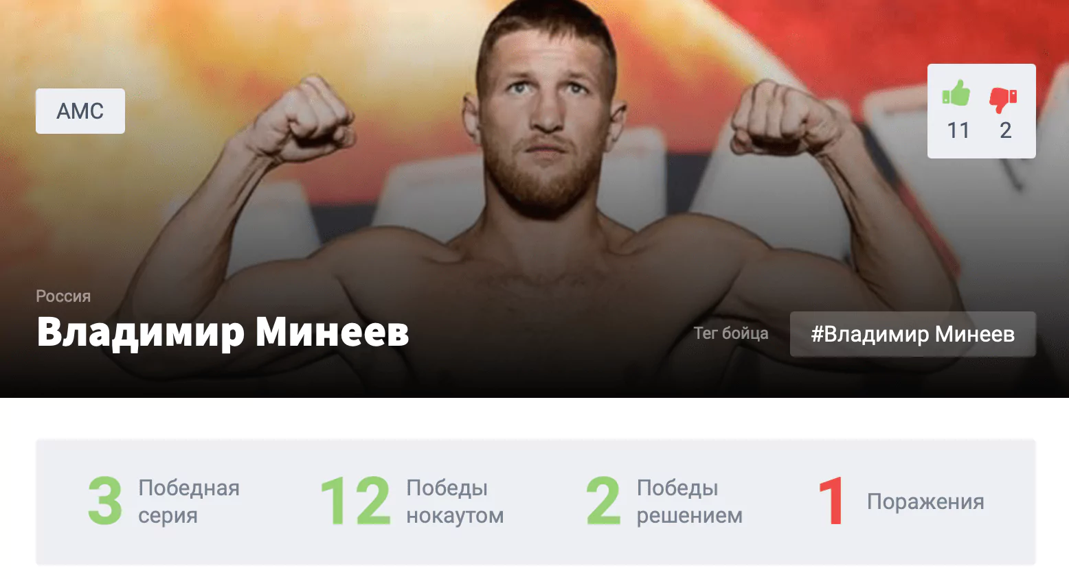 Прогноз на бой Владимир Минеев – Магомед Исмаилов