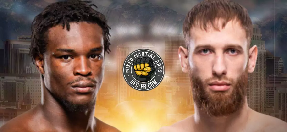 Пуляев А. – Пинас Д. в карде турнира UFC 332 – превью и ставки БК